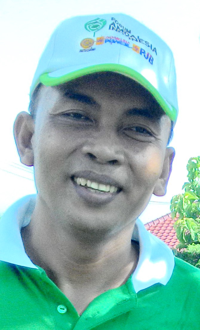 I Wayan Nuarsa I Wayan Nuarsa